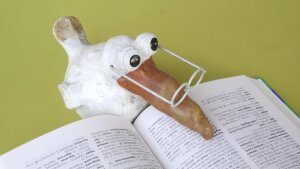 Lernen-Lesen-Bildung