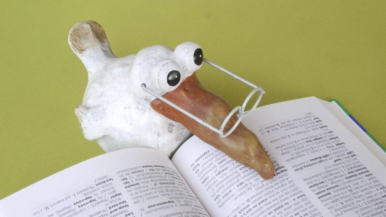 Lernen-Lesen-Bildung